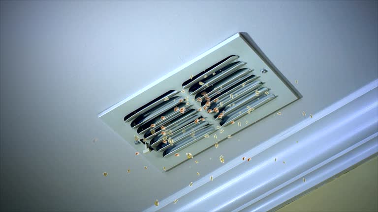 Best Affordable Duct Cleaning Services  in Carlinvle, IL