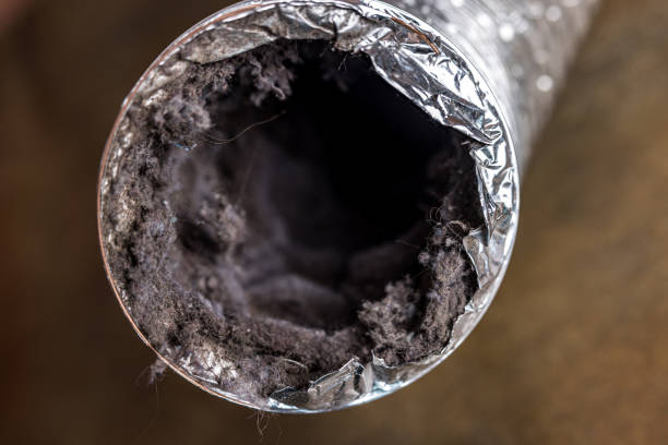 Best HVAC Duct Inspection Services  in Carlinvle, IL